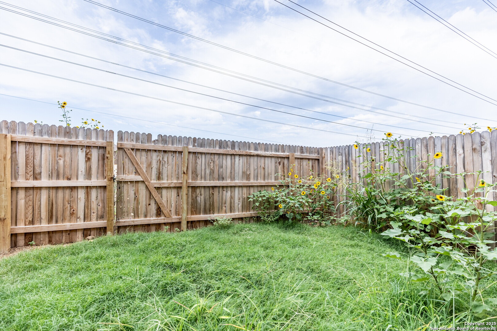 7239 Converse Ridge Lane San Antonio TX 78239