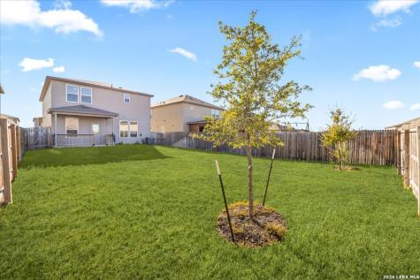 10623 Rayburn Landing San Antonio TX 78252