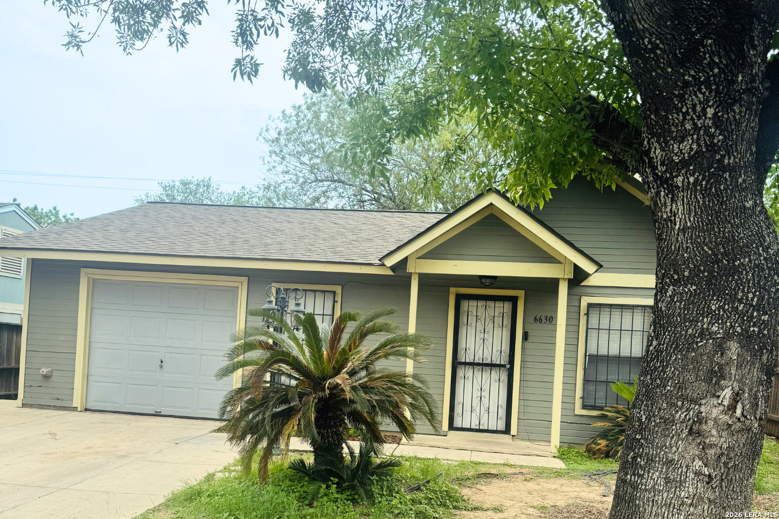 6630 Swiss Oaks San Antonio TX 78227