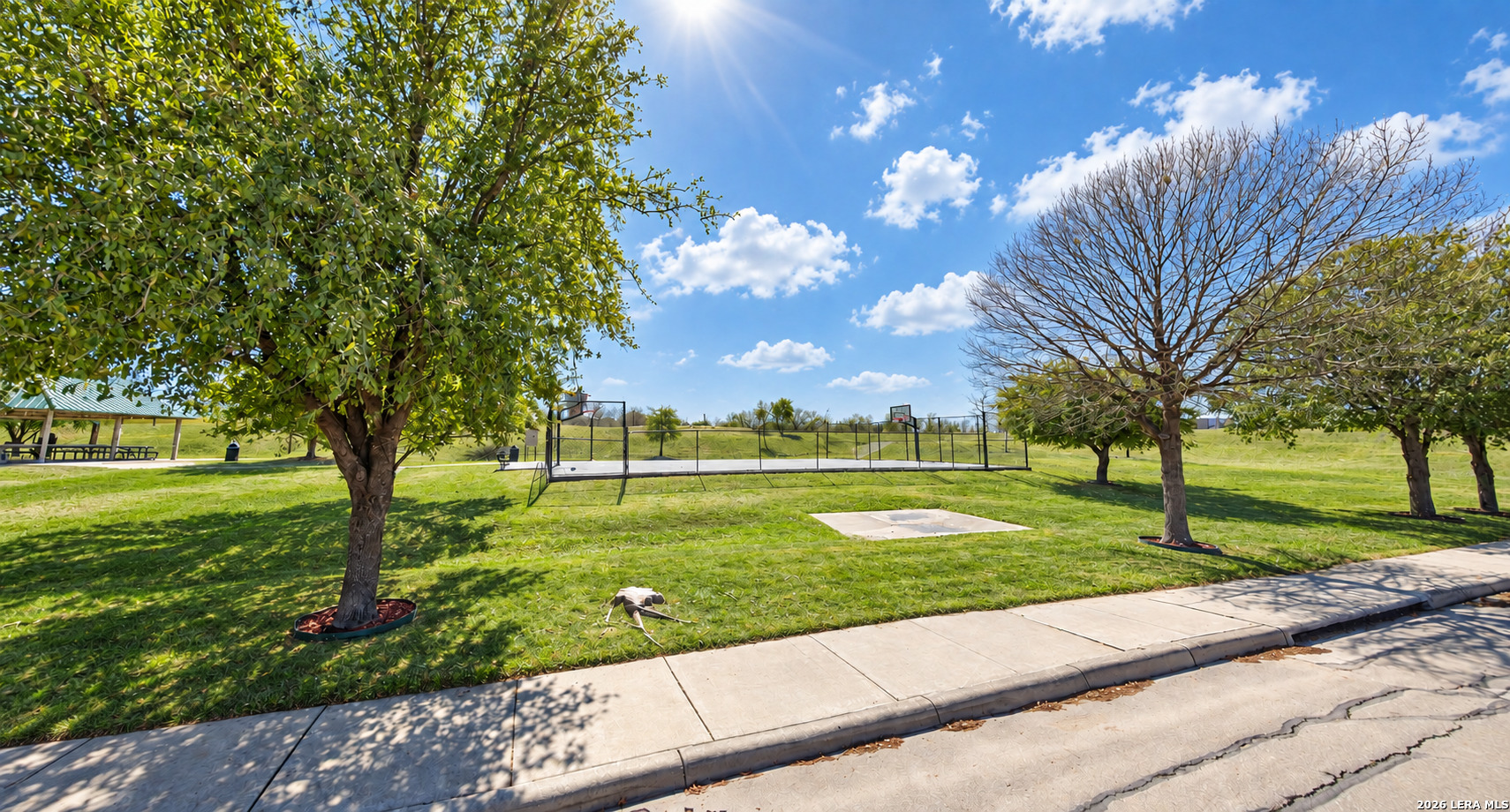11342 Buck Canyon San Antonio TX 78252