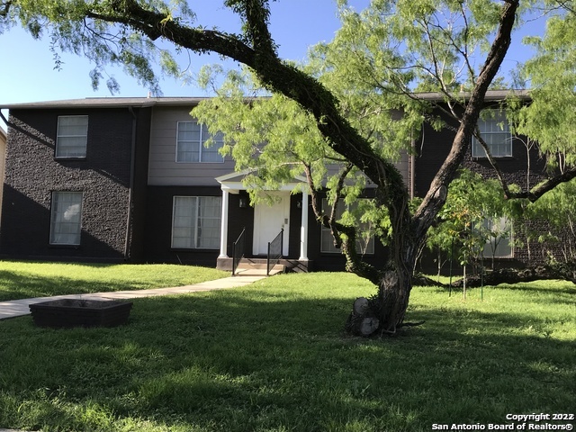 175 Harrigan Court Alamo Heights TX 78209