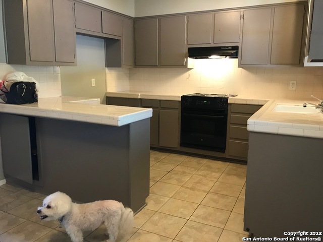 175 Harrigan Court Alamo Heights TX 78209
