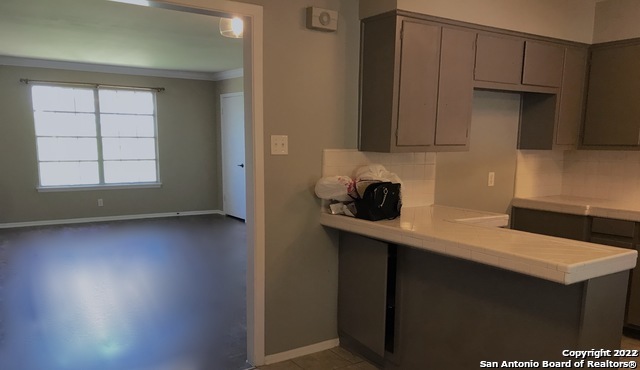 175 Harrigan Court Alamo Heights TX 78209