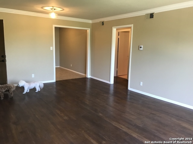 175 Harrigan Court Alamo Heights TX 78209