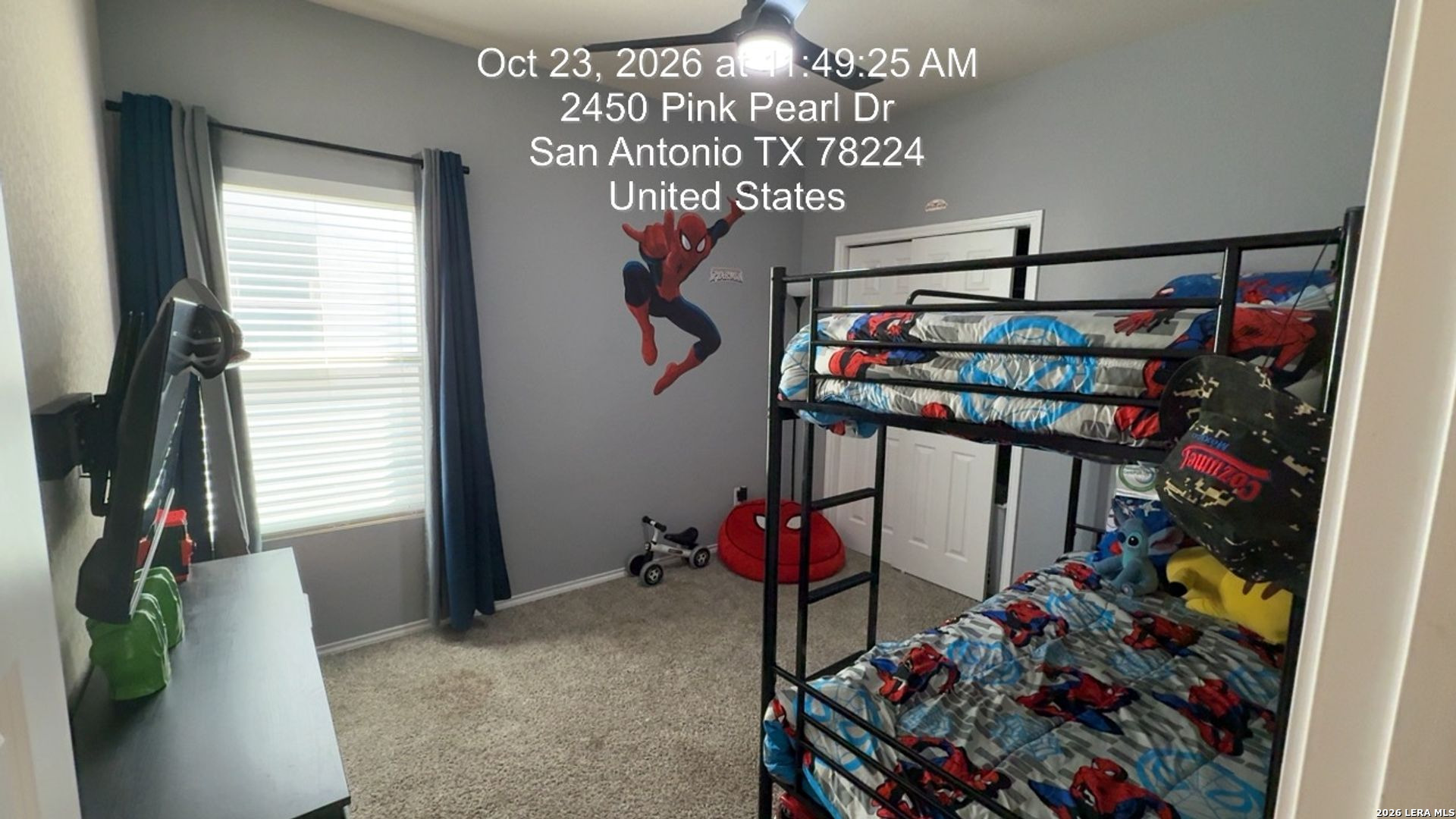 2446 Pink Pearl Drive San Antonio TX 78224
