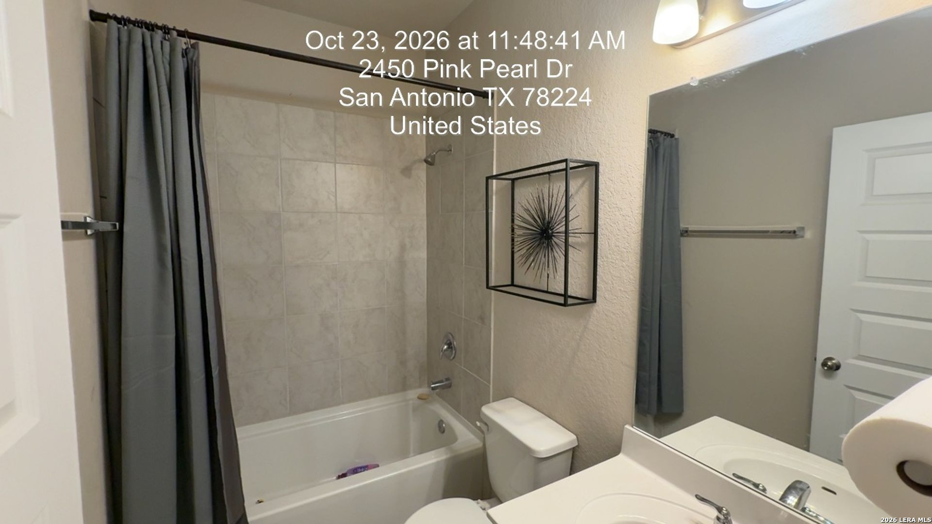2446 Pink Pearl Drive San Antonio TX 78224