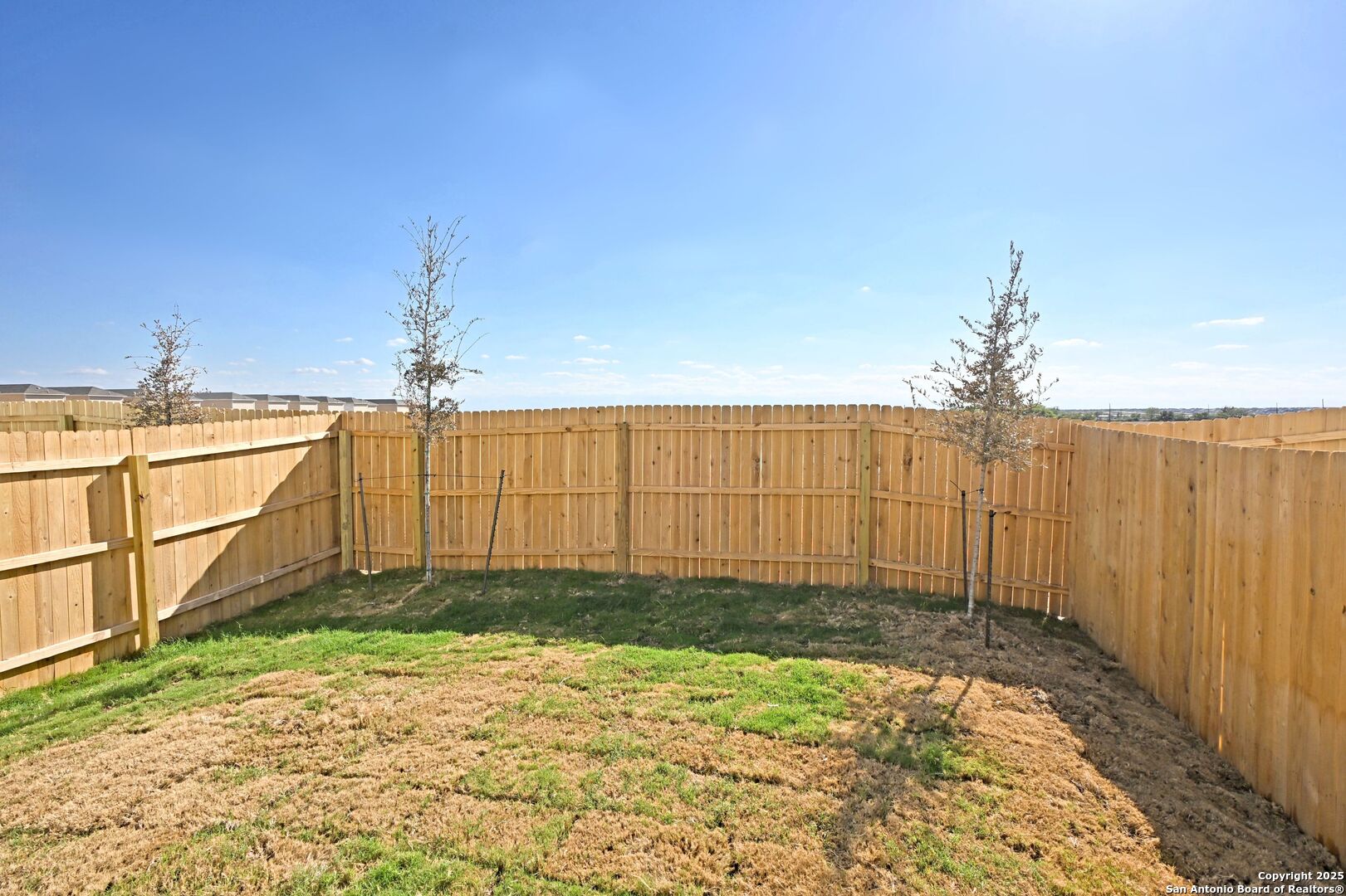 11806 Bluebell Ridge Converse TX 78109