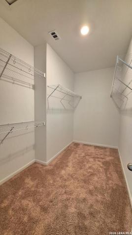 3951 Trail De Paris New Braunfels TX 78132