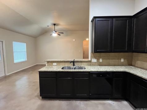 698 Saengerhalle Road New Braunfels TX 78130