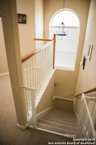133 Wright Cove Cibolo TX 78108