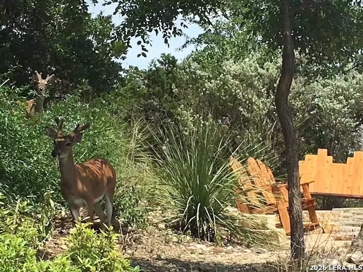1435 Trail Pass Canyon Lake TX 78133