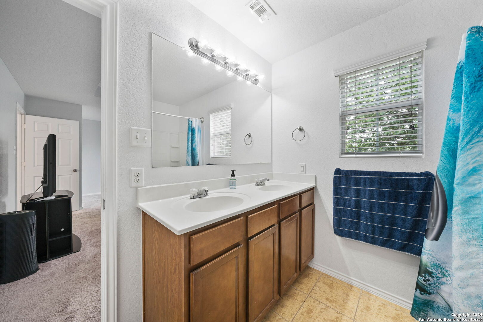 9227 Silver Vista San Antonio TX 78254
