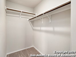 9919 Grove Mist San Antonio TX 78233