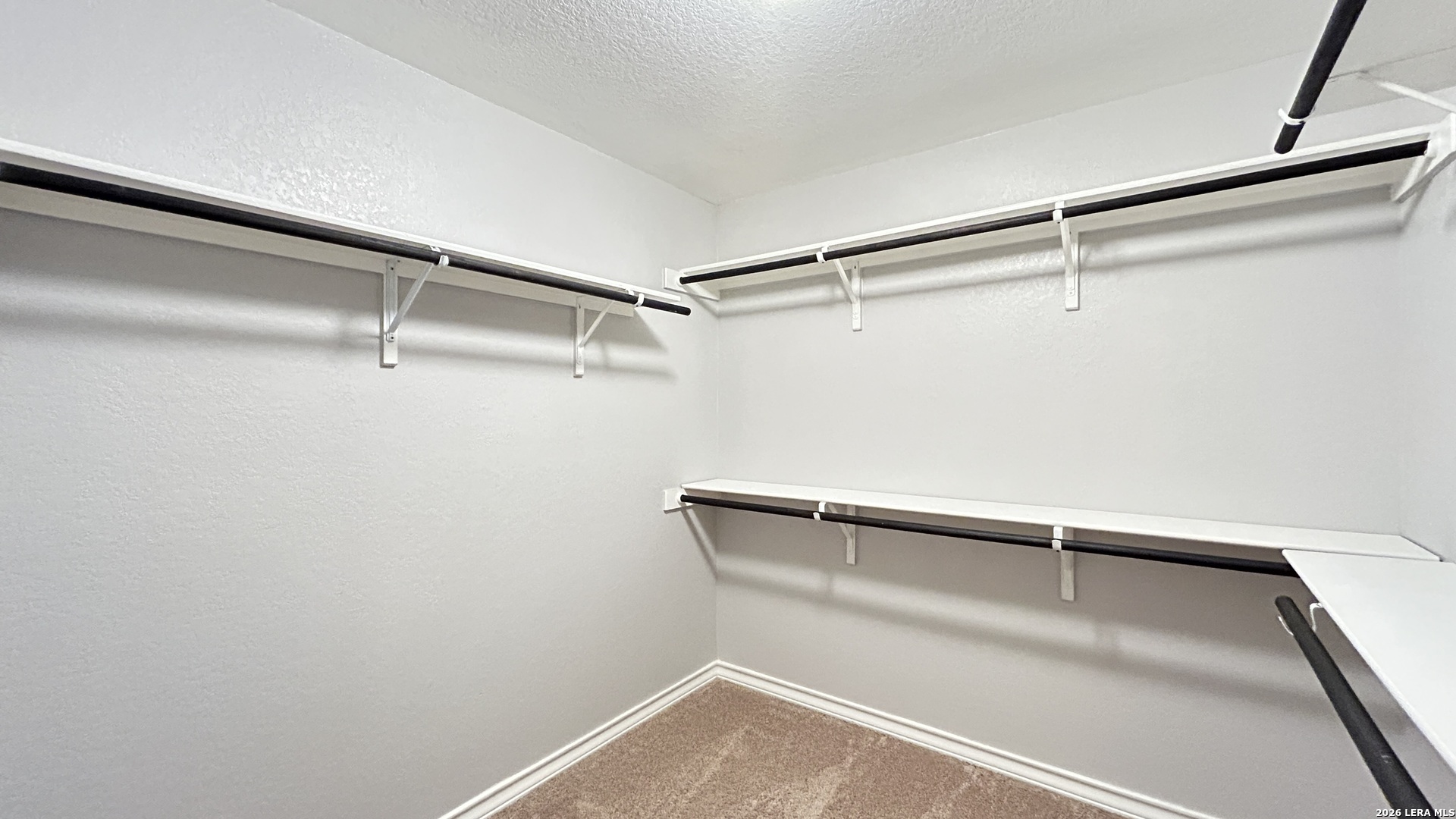 15549 Gray Catbird San Antonio TX 78253