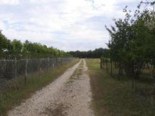 205 Hill Country Drive Pipe Creek TX 78063