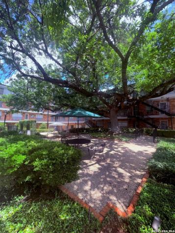 8401 N New Braunfels Avenue San Antonio TX 78209