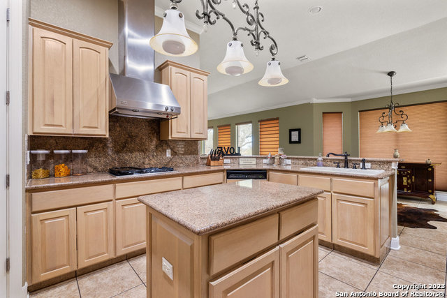 22028 Deer Canyon Drive San Antonio TX 78266