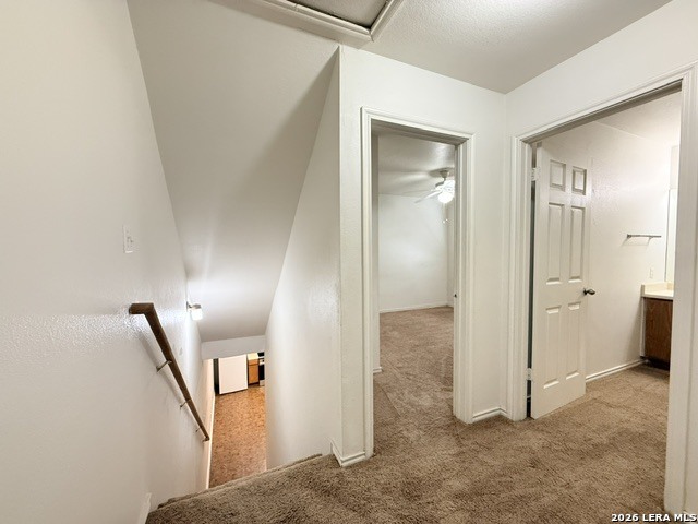 11703 Capotillo San Antonio TX 78233