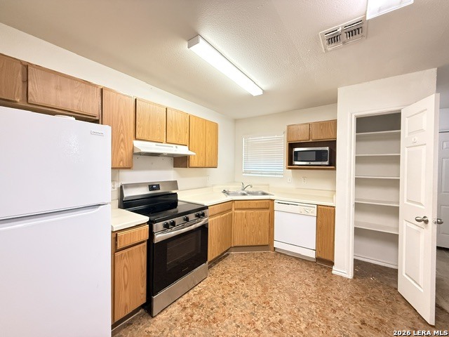 11703 Capotillo San Antonio TX 78233