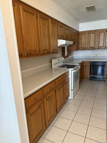 2723 Triple Tree Drive San Antonio TX 78263