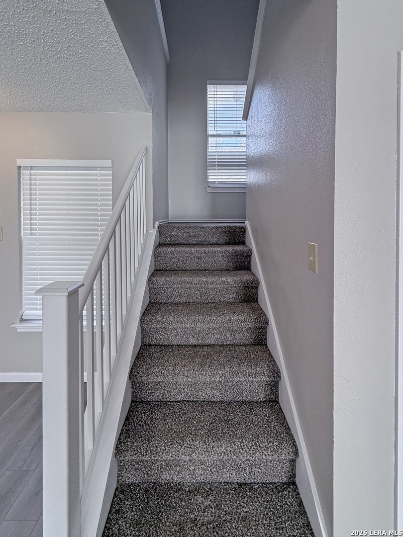 9730 Frost Plain Drive San Antonio TX 78245