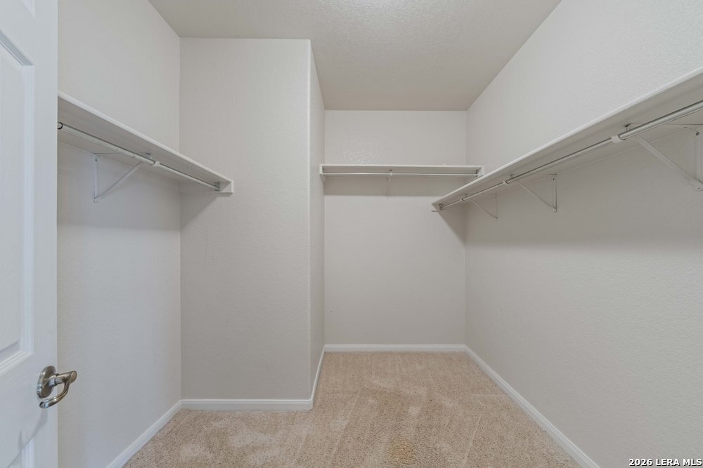 141 Springtree Gate Cibolo TX 78108