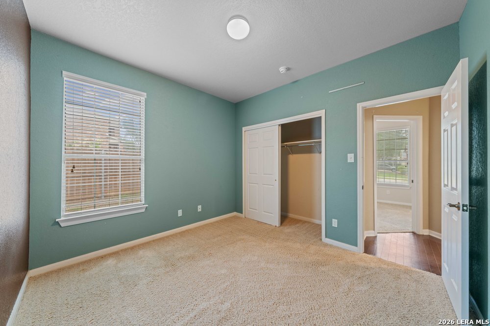 141 Springtree Gate Cibolo TX 78108