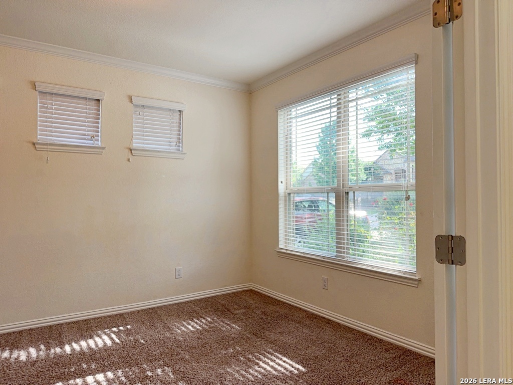 5319 Saffron Rose San Antonio TX 78253