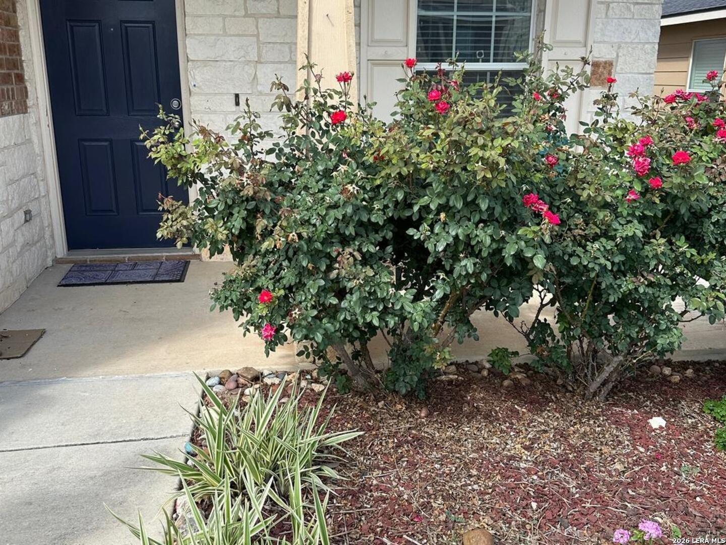 24314 Invitation Oak San Antonio TX 78261