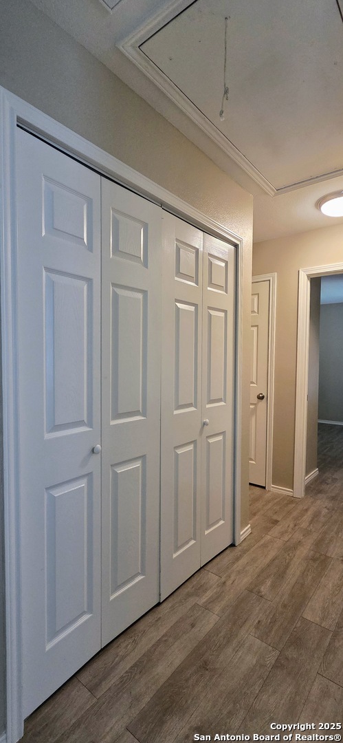 523 Clearfield Drive New Braunfels TX 78130