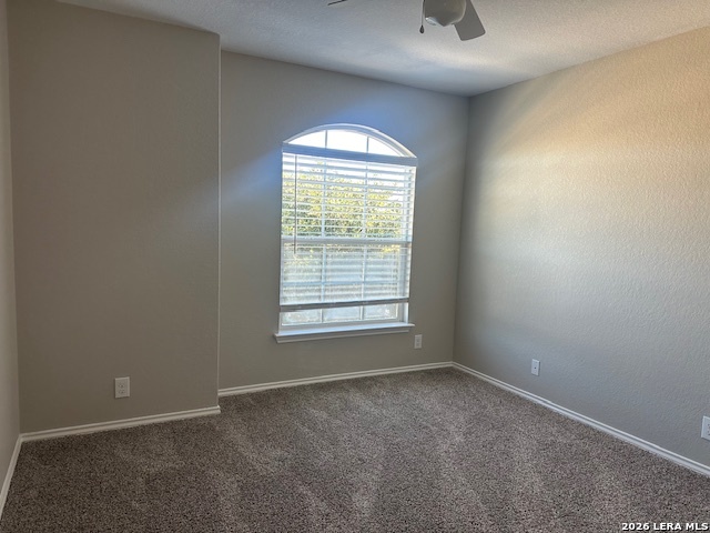 2420 Dimmitt Drive New Braunfels TX 78130