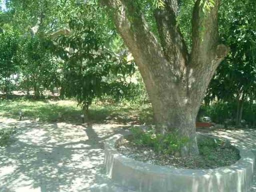 1206 Avant Avenue San Antonio TX 78210