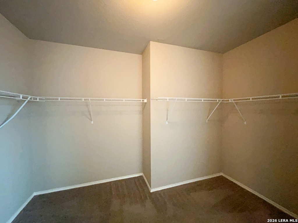 25803 Torch Lily San Antonio TX 78260