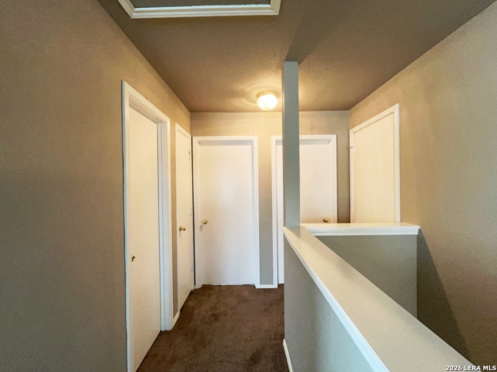 25803 Torch Lily San Antonio TX 78260