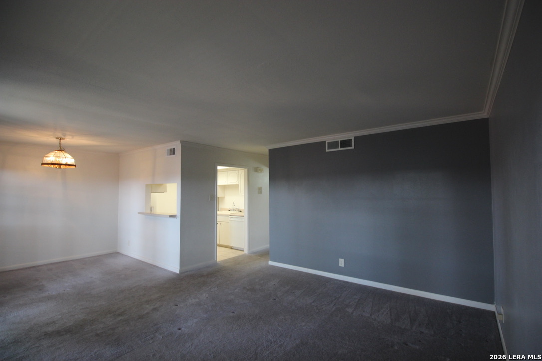 8401 N New Braunfels San Antonio TX 78209