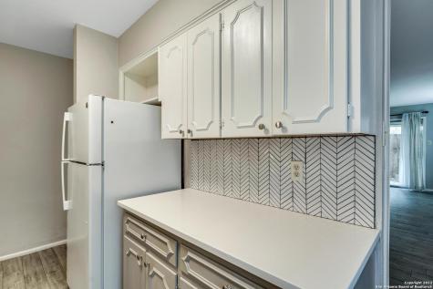 168 Barilla Place San Antonio TX 78209