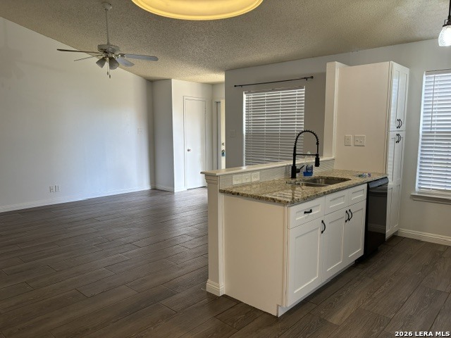 5027 Anacacho Street San Antonio TX 78217