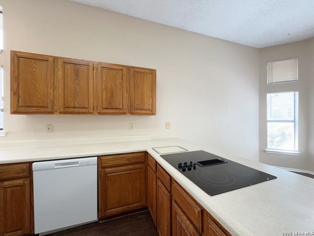 9706 Quiet Lake San Antonio TX 78254