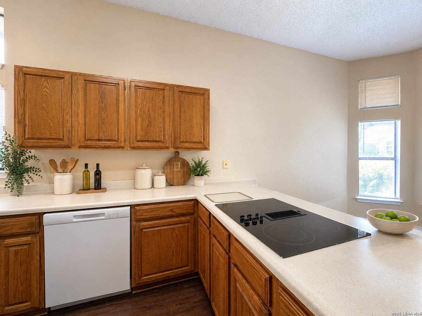 9706 Quiet Lake San Antonio TX 78254