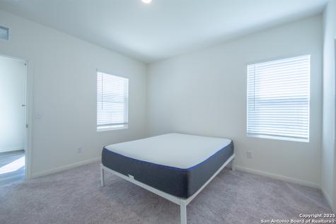 7447 Cheetah Pass San Antonio TX 78253