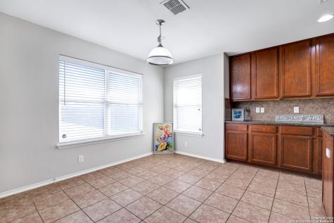 547 Red Quill Nest San Antonio TX 78253