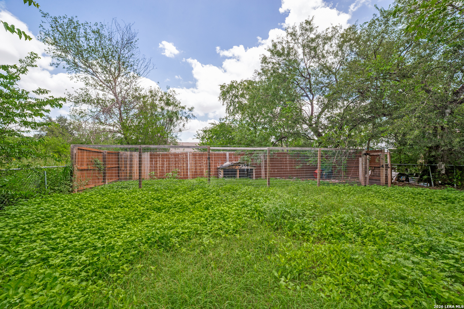 342 Consuelo San Antonio TX 78228