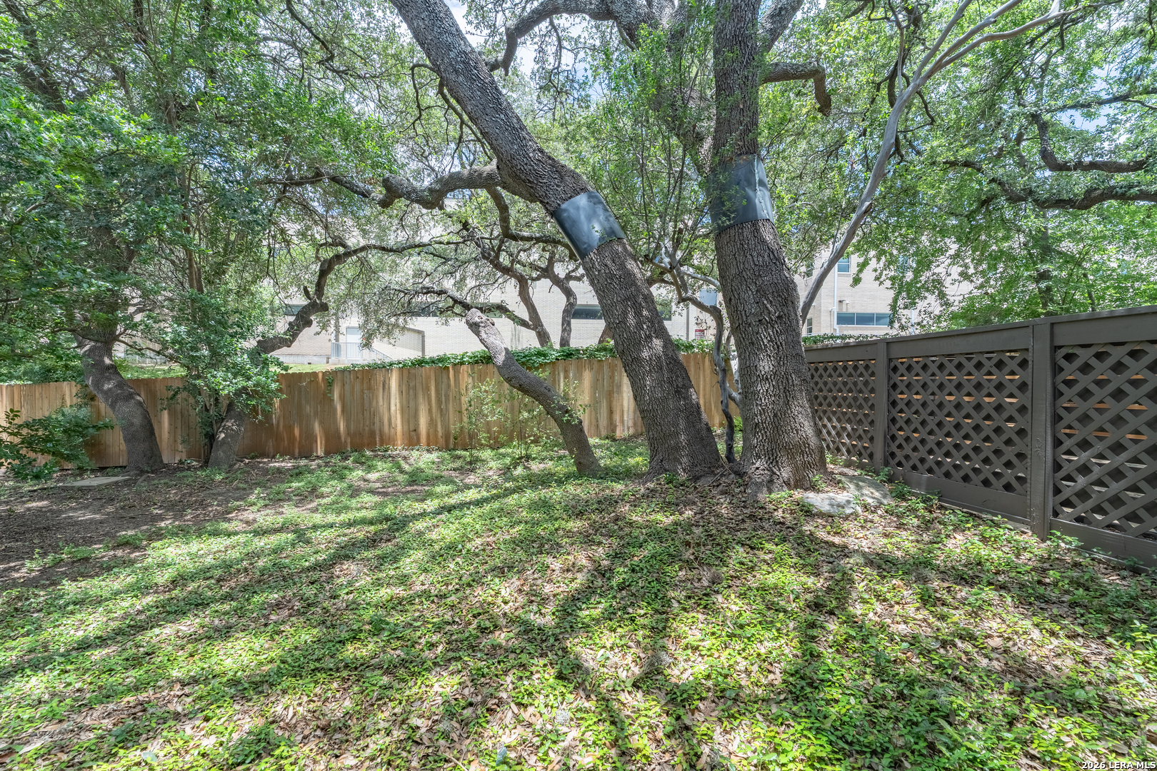 11815 Vance Jackson San Antonio TX 78230