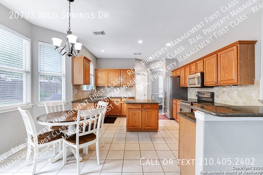 20703 Wild Springs Drive San Antonio TX 78258