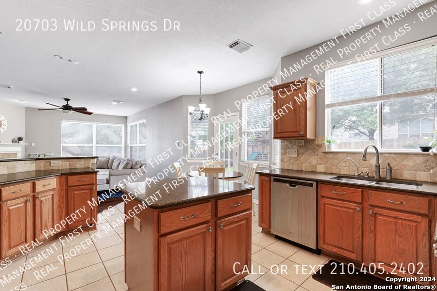 20703 Wild Springs Drive San Antonio TX 78258