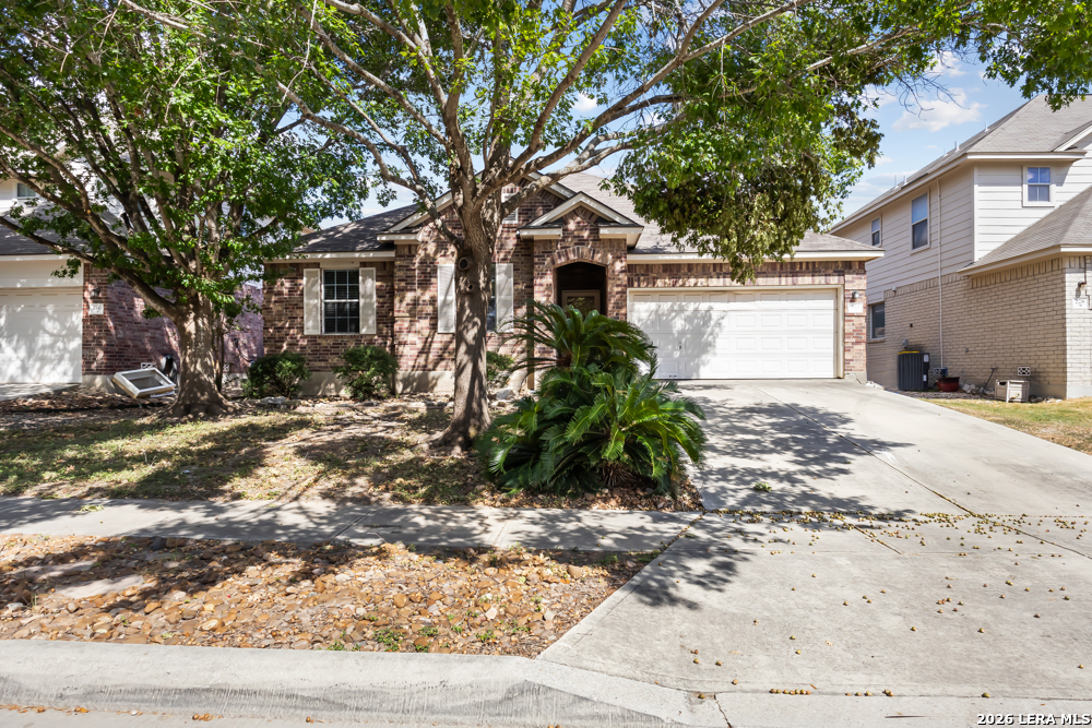 224 Lieck Cove Cibolo TX 78108