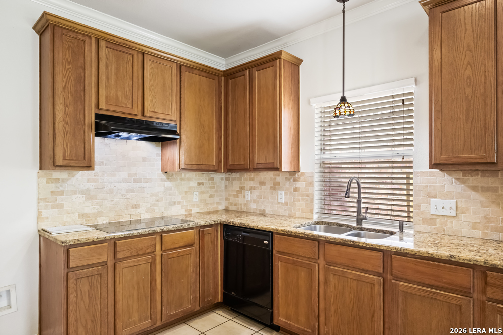 224 Lieck Cove Cibolo TX 78108