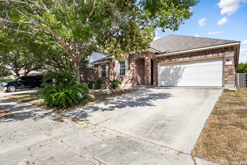 224 Lieck Cove Cibolo TX 78108