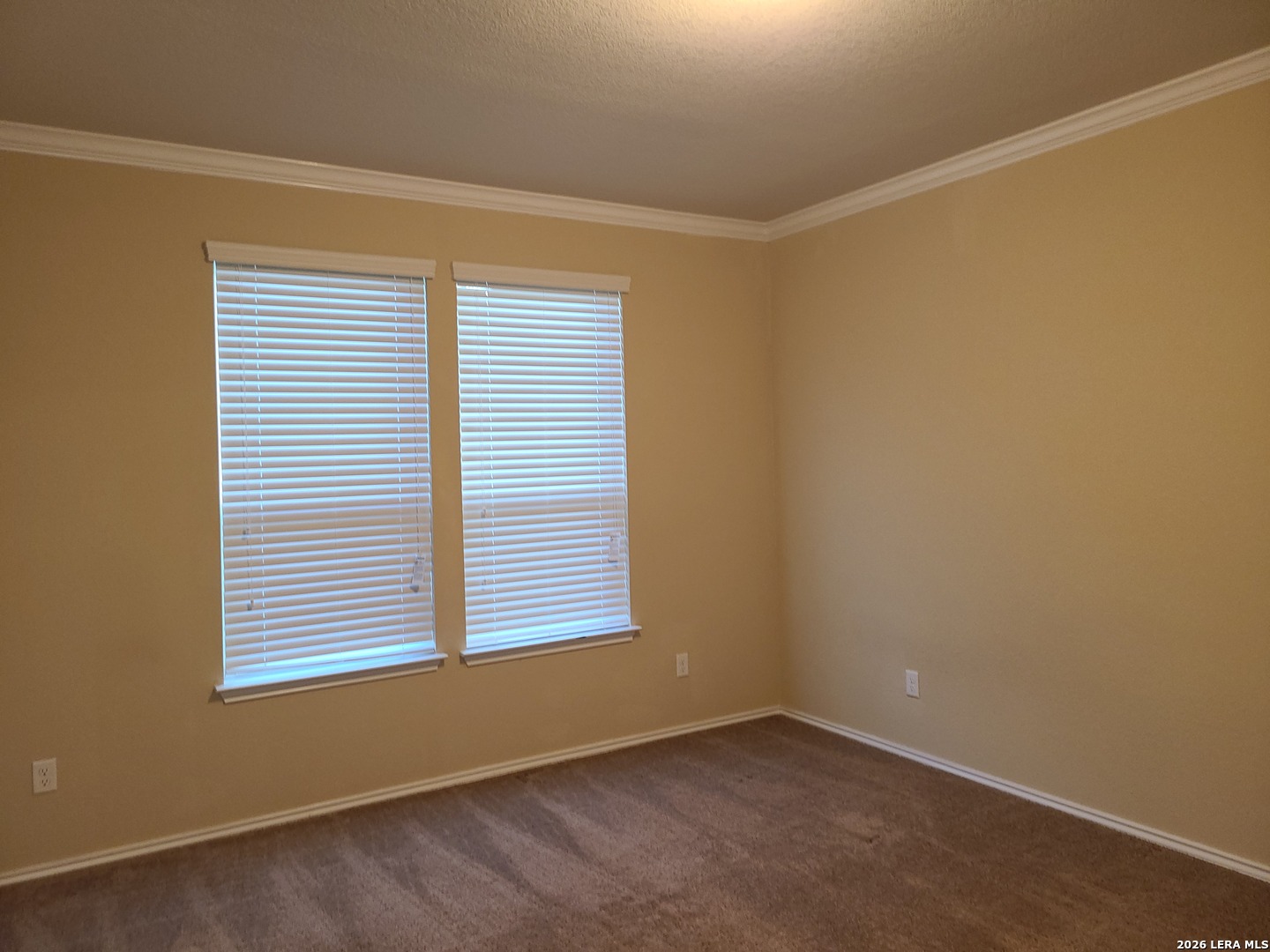 11431 Unbridled San Antonio TX 78245