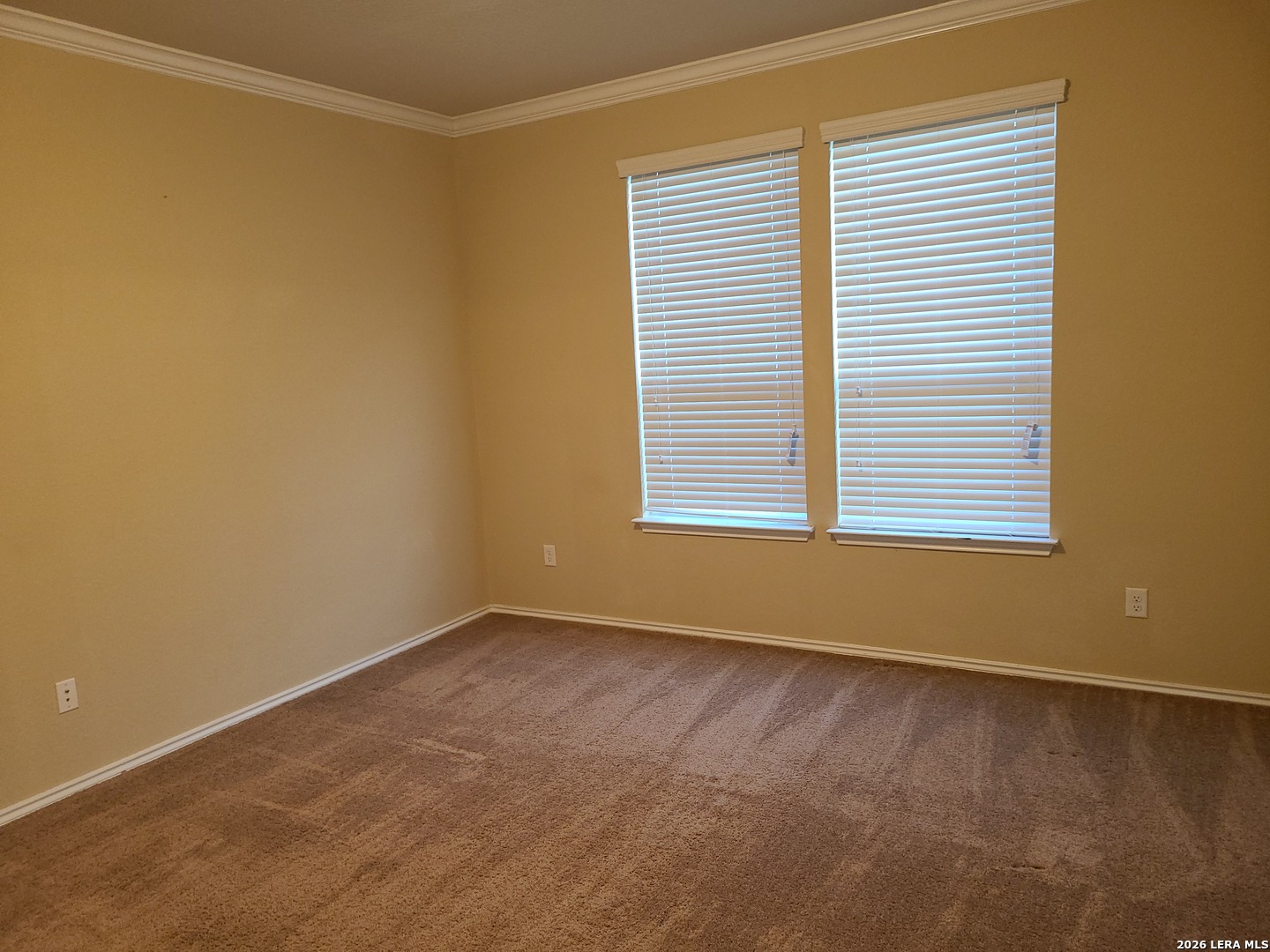 11431 Unbridled San Antonio TX 78245